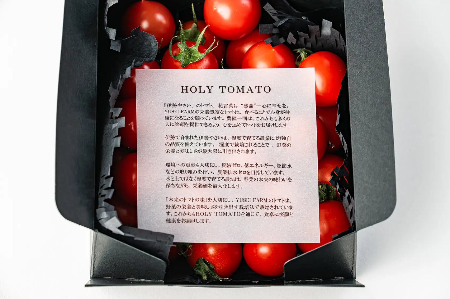 HOLY TOMATO