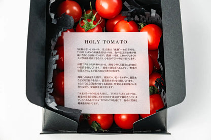 HOLY TOMATO